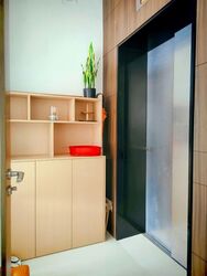 The Riverine By The Park (D12), Apartment #579728561
